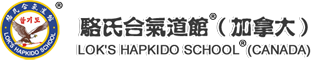 Lok's Hapkido